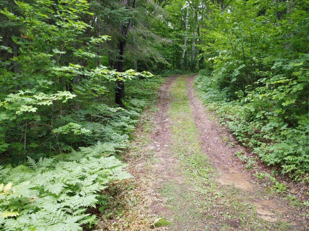 Sentier